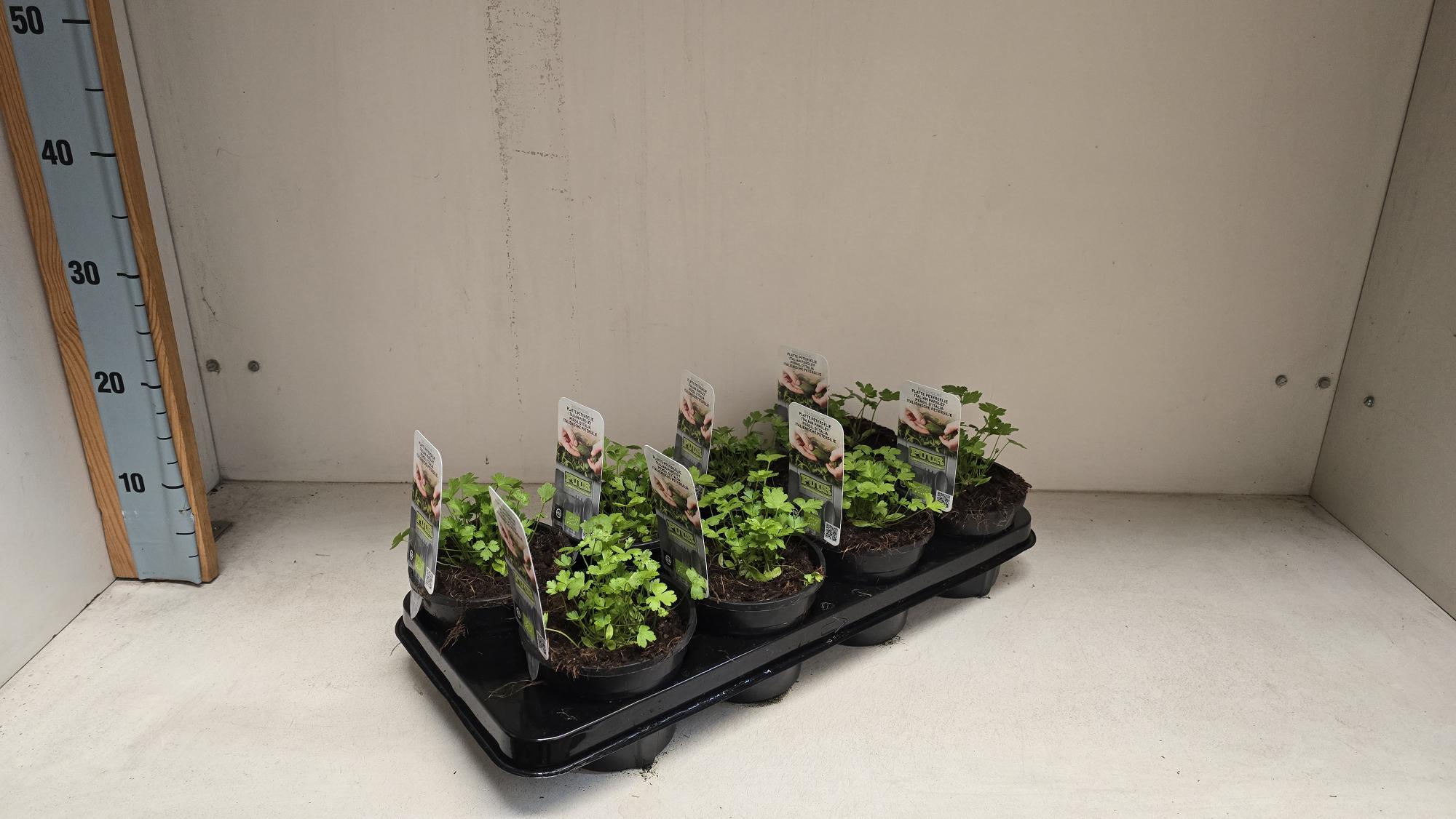 1978x1103 pixels (204K)